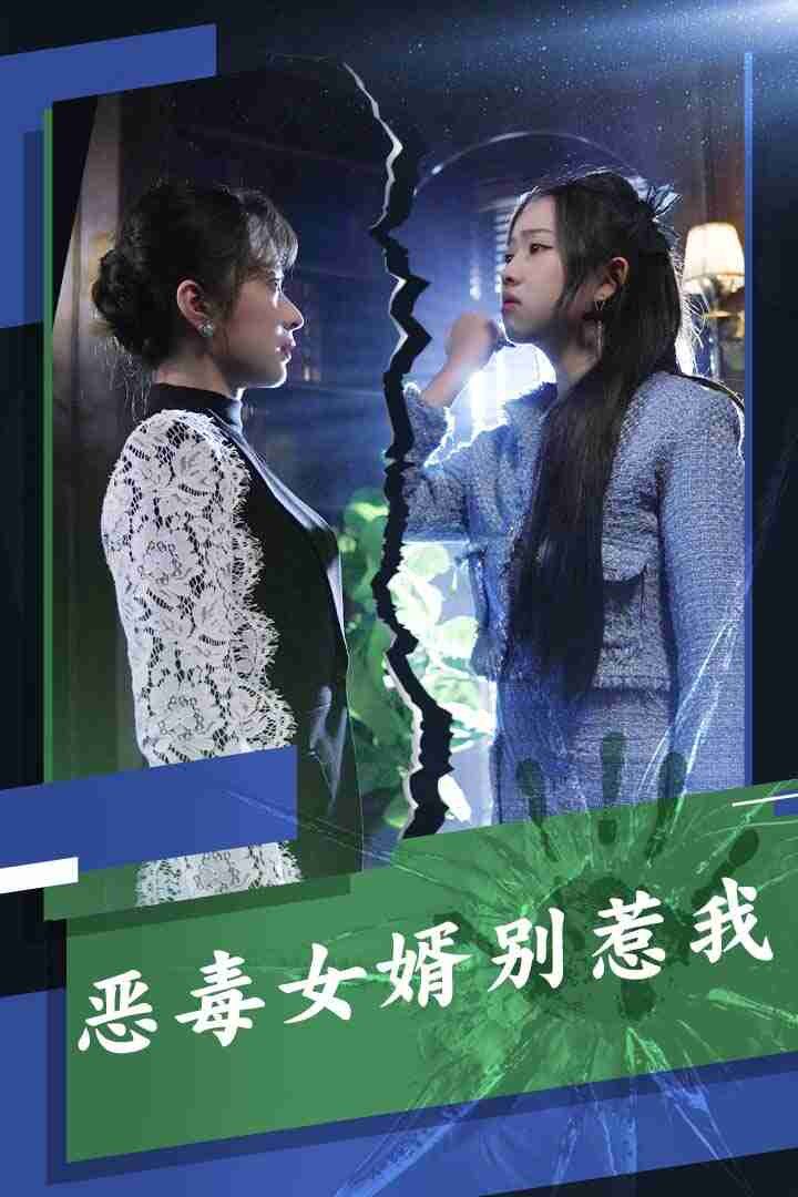 恶毒女婿别惹我封面图