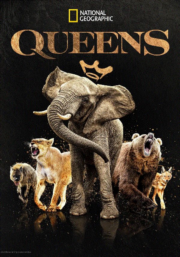 大自然的女王封面图