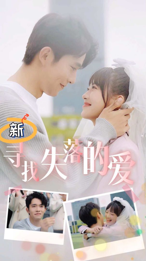 寻找失落的爱封面图