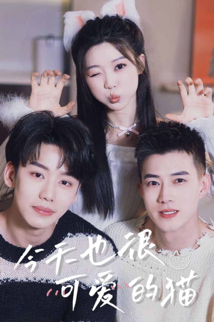 今天也很可爱的猫封面图