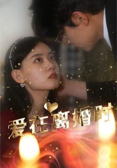 爱在离婚时封面图