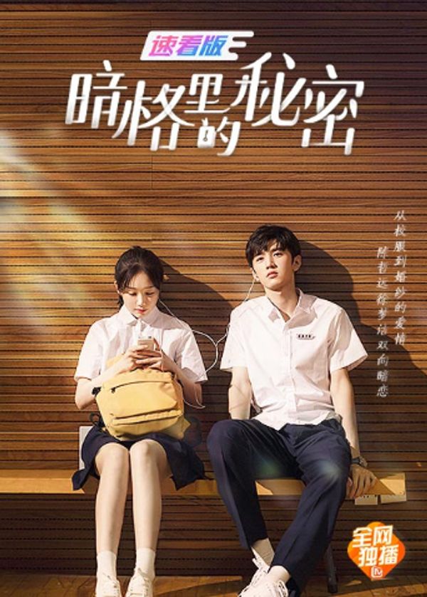 暗格里的秘密 速看版封面图