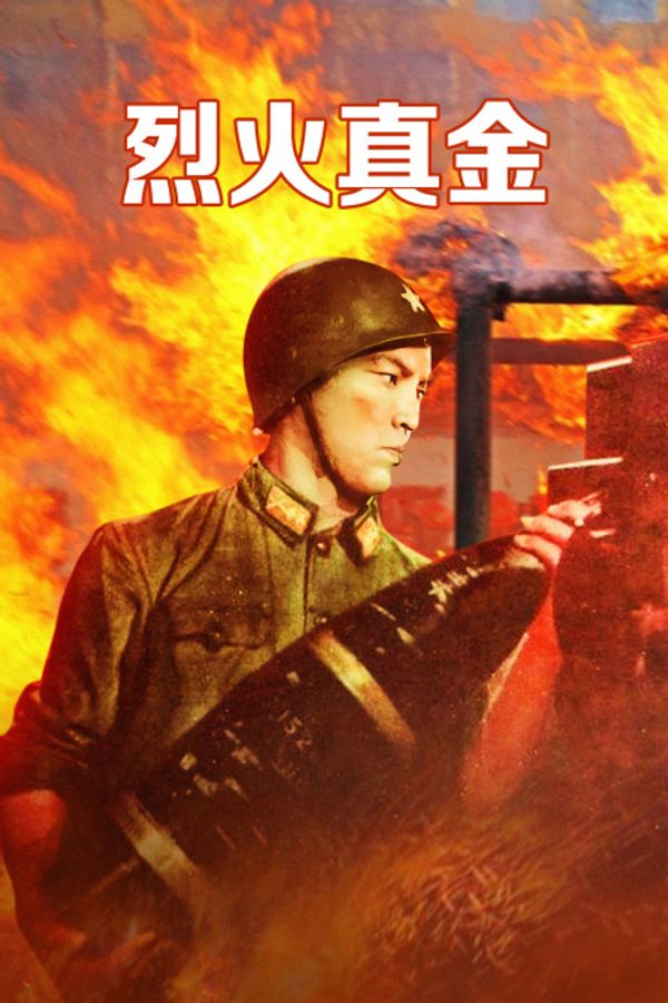 烈火真金封面图