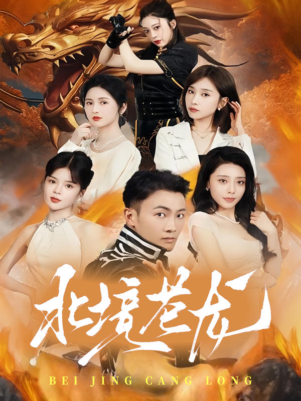 北境苍龙封面图