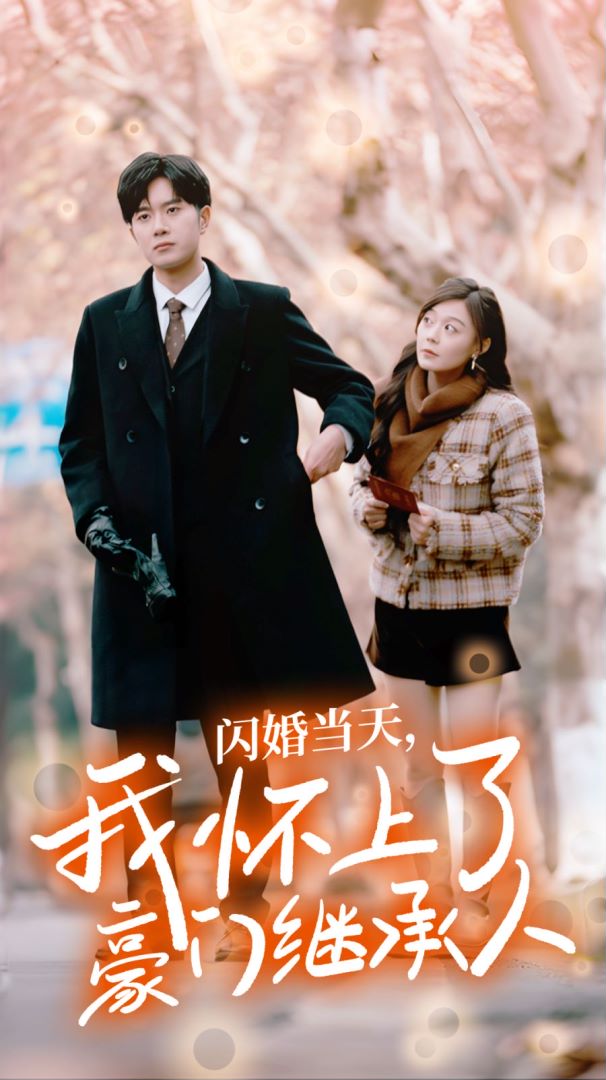 闪婚当天，我怀上了豪门继承人封面图