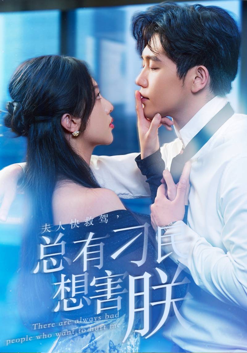 夫人快救驾，总有刁民想害朕封面图