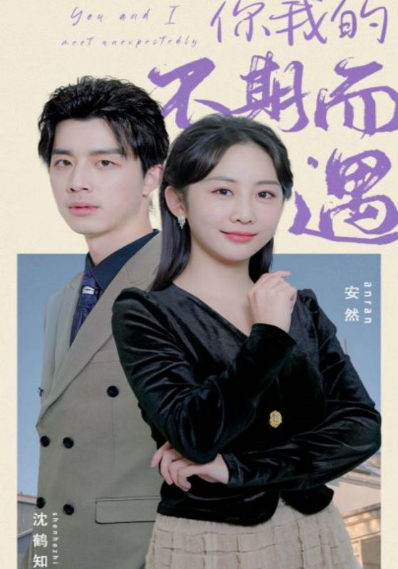 你我的不期而遇封面图