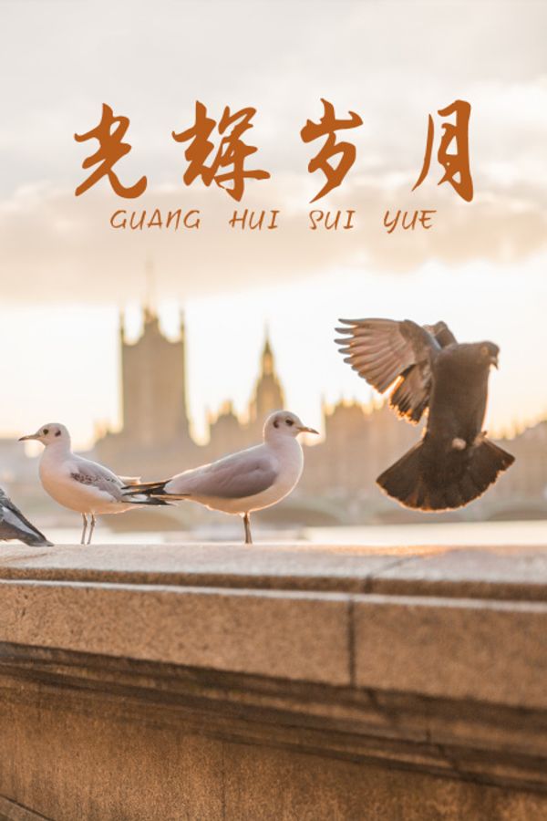 光辉岁月封面图