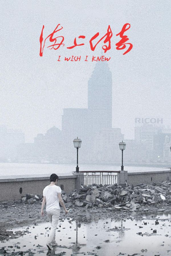 海上传奇封面图