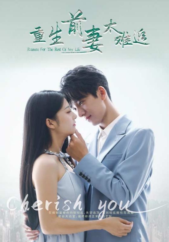 重生前妻太难追封面图