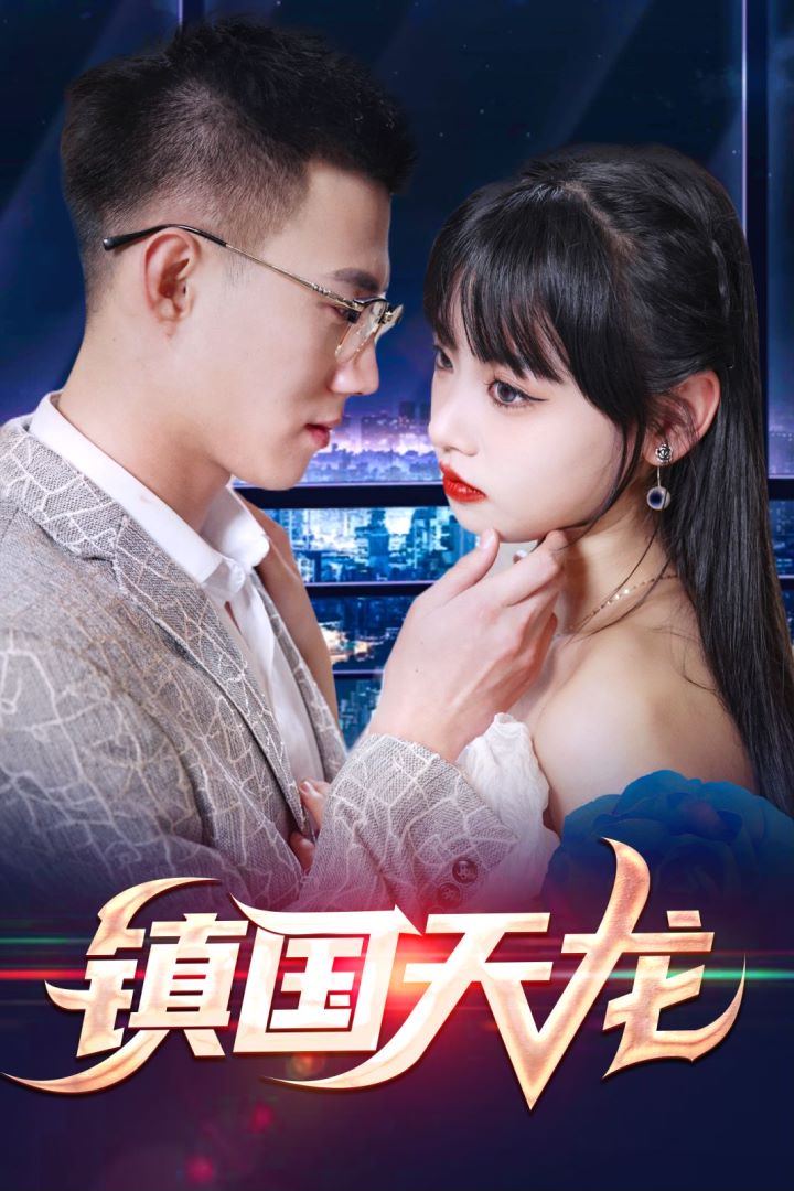 镇国天龙封面图