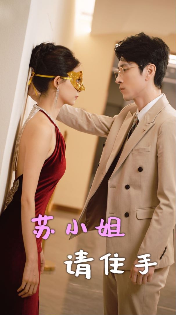 苏小姐请住手封面图
