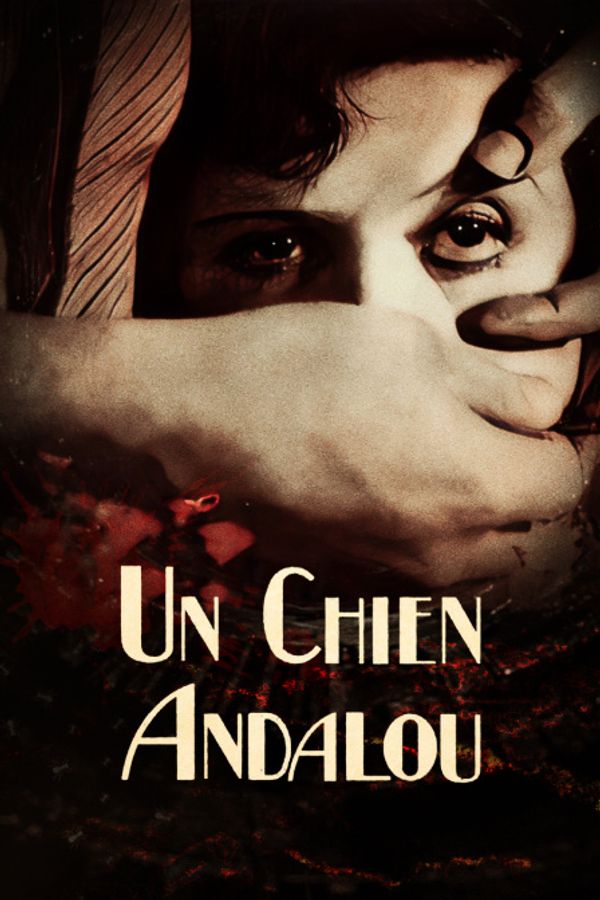 安达鲁之犬封面图