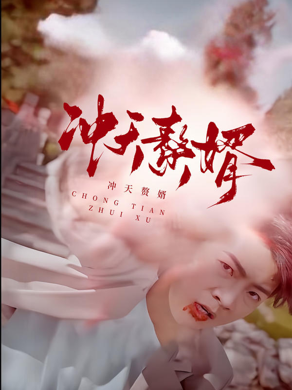 冲天赘婿封面图
