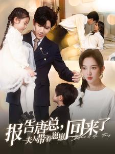 报告唐总夫人带着崽崽回来了封面图