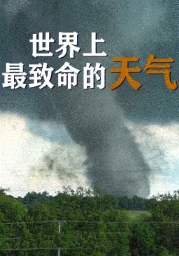 世界上最致命的天气封面图