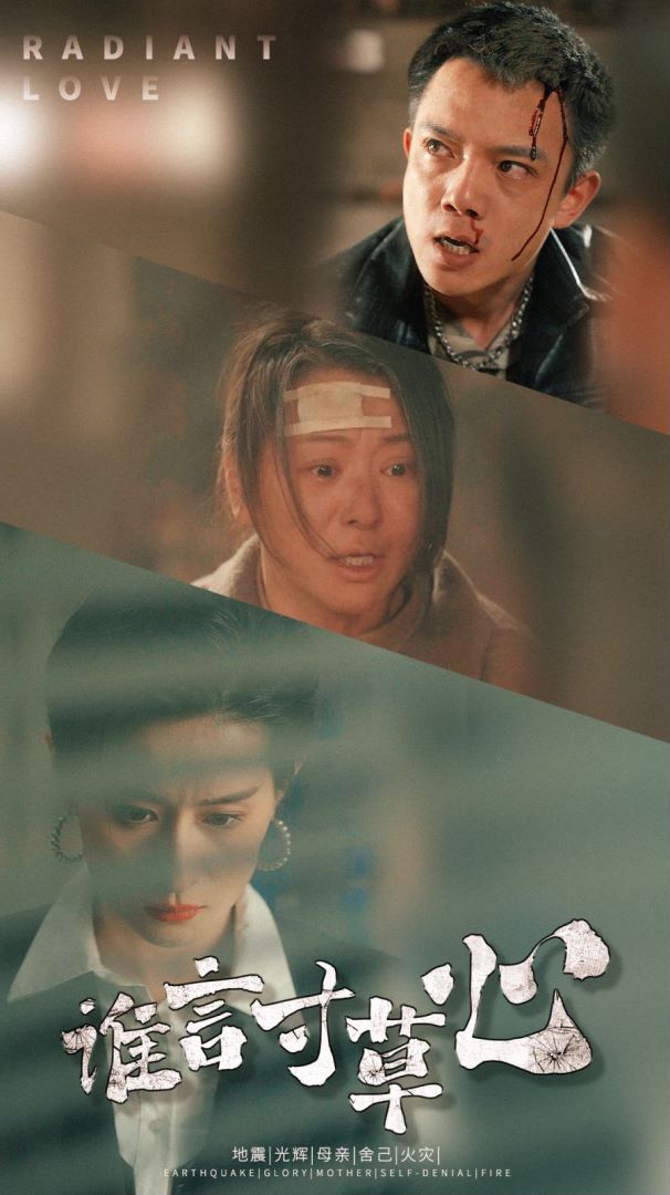 谁言寸草心封面图