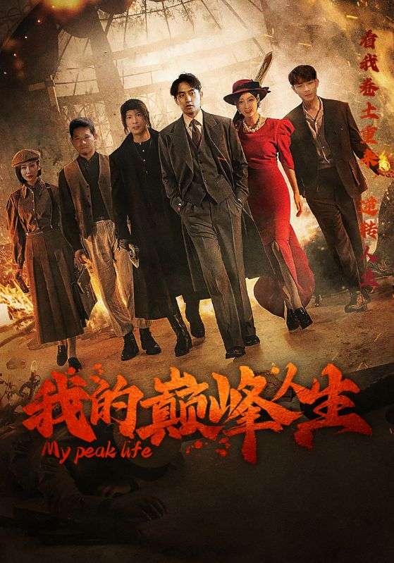 我的巅峰人生封面图