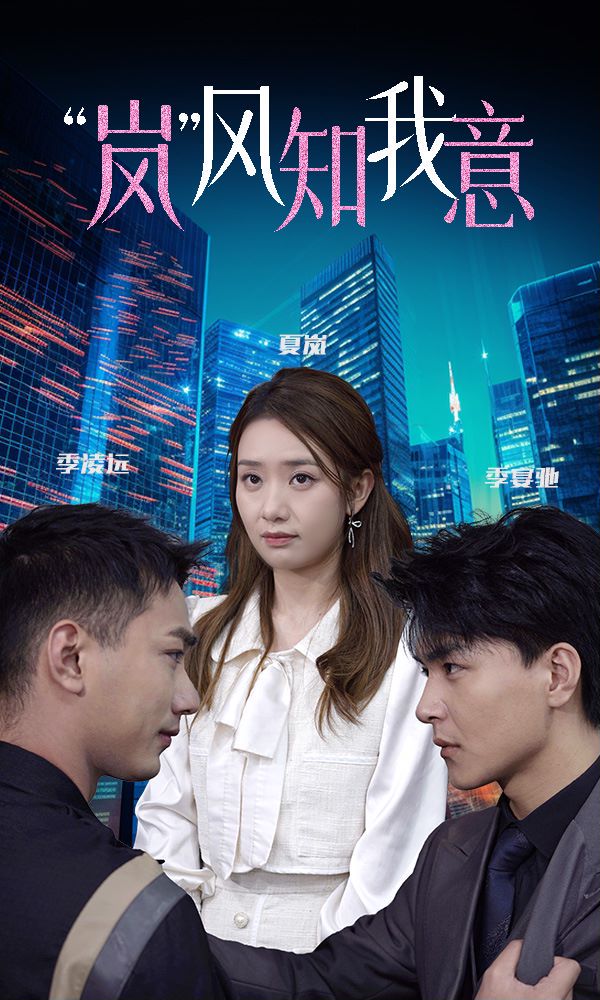 “岚”风知我意封面图