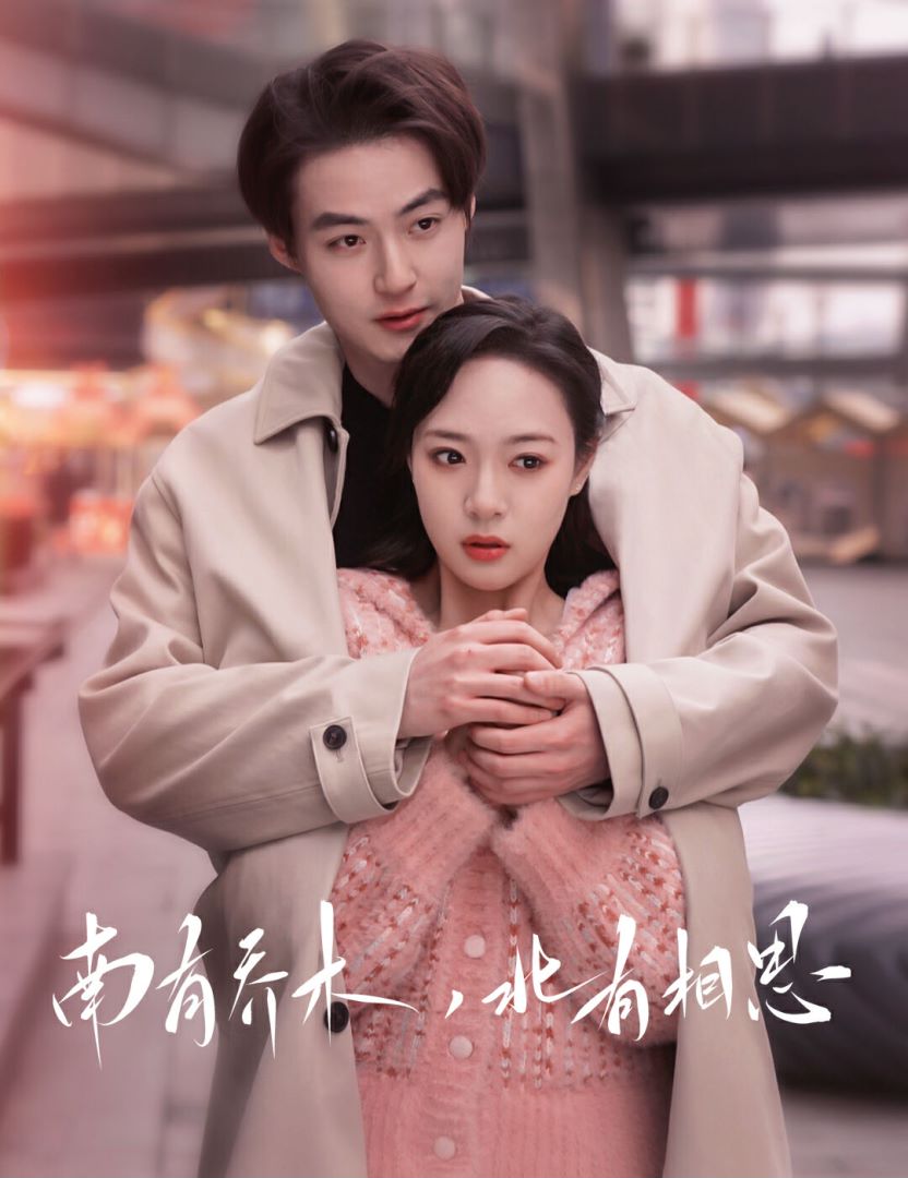 南有乔木，北有相思封面图