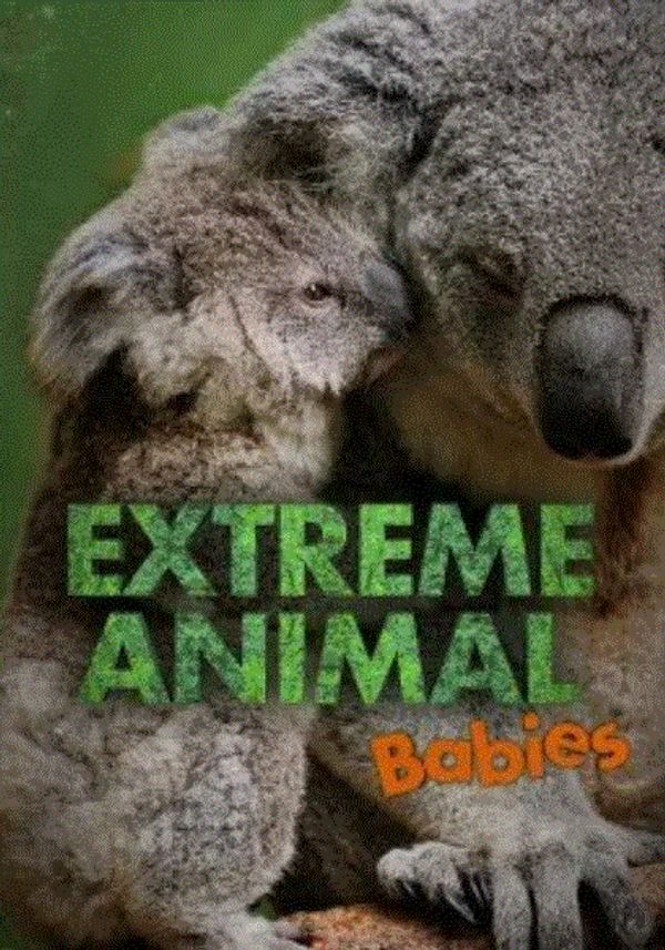 极致动物幼崽封面图