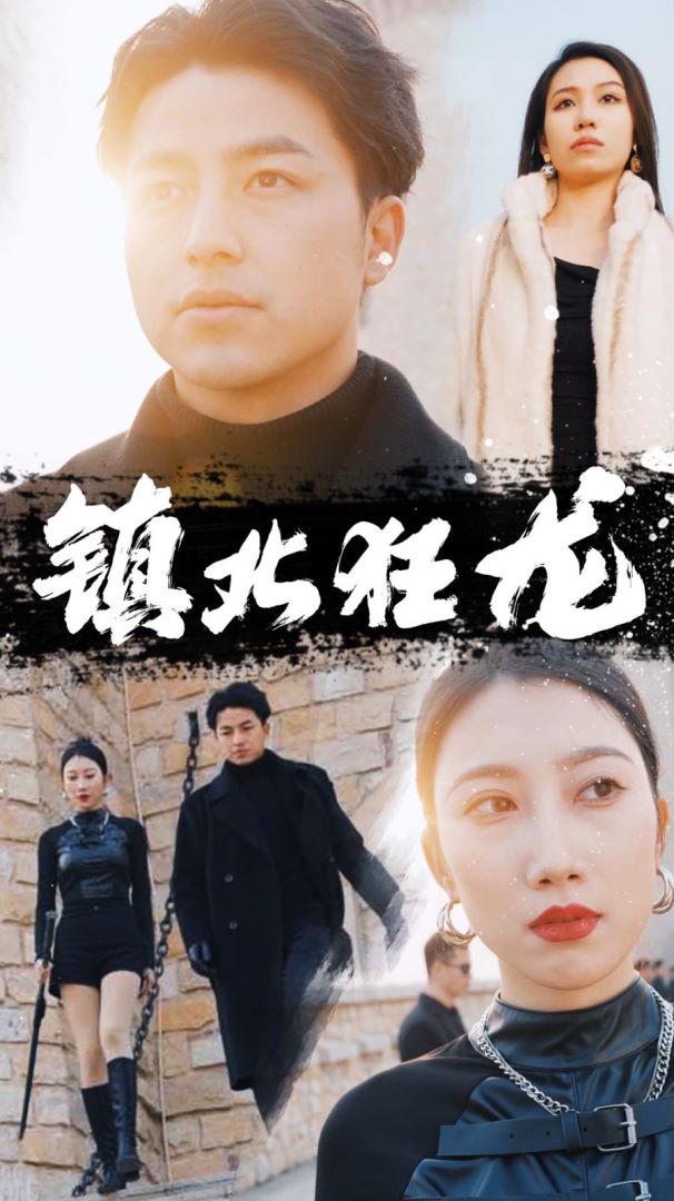 镇北狂龙封面图