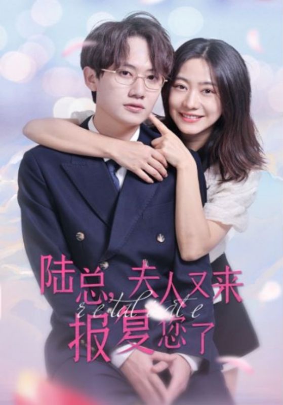 陆总，夫人又来报复您了封面图