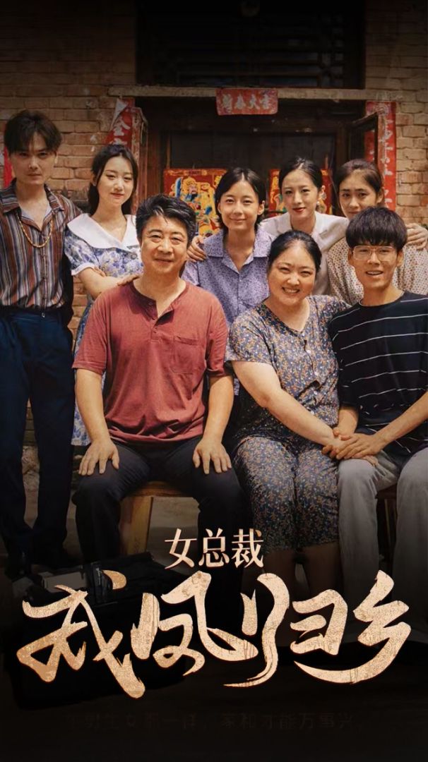 女总裁成凤归乡封面图