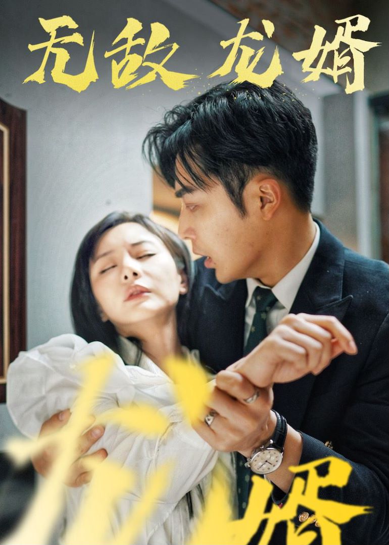 无敌龙婿封面图