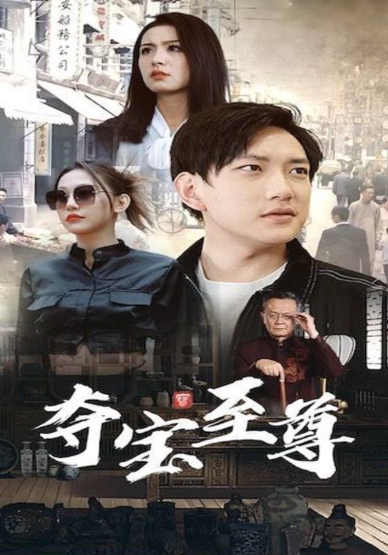 夺宝至尊封面图