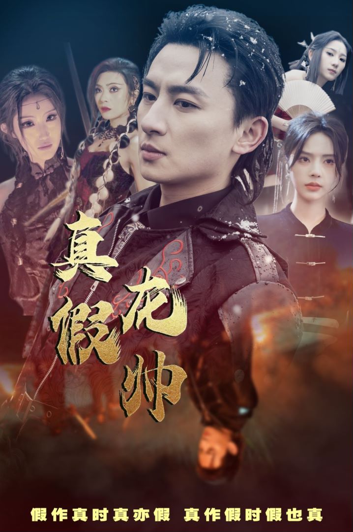 真假龙帅封面图