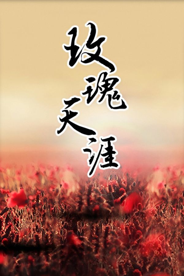 玫瑰天涯封面图