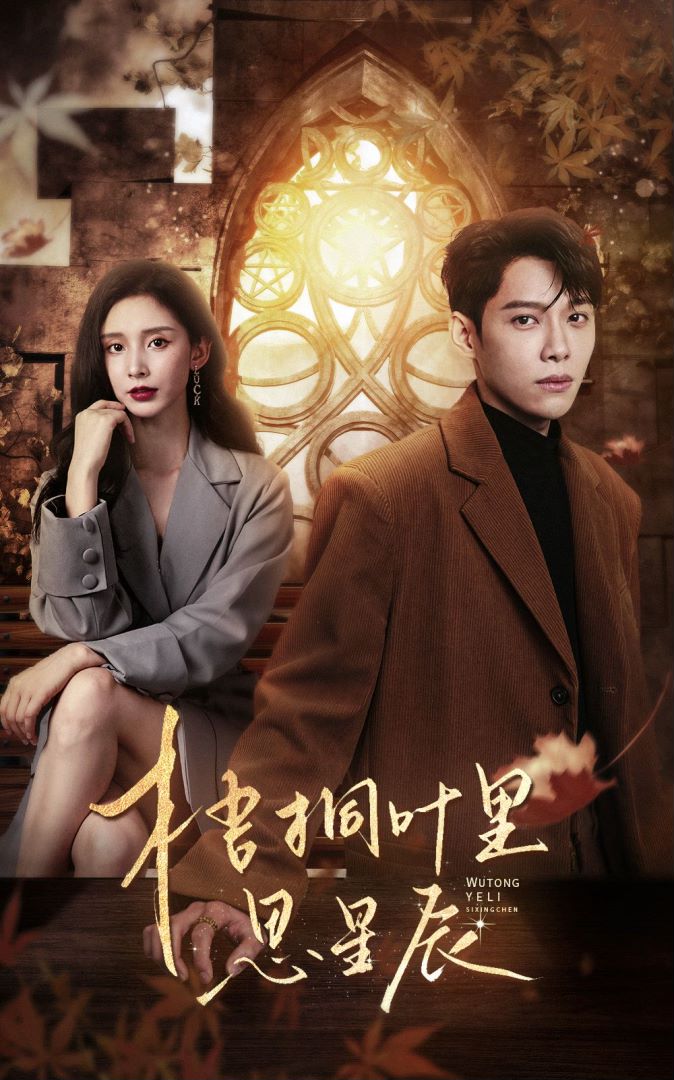 梧桐叶里思星辰封面图