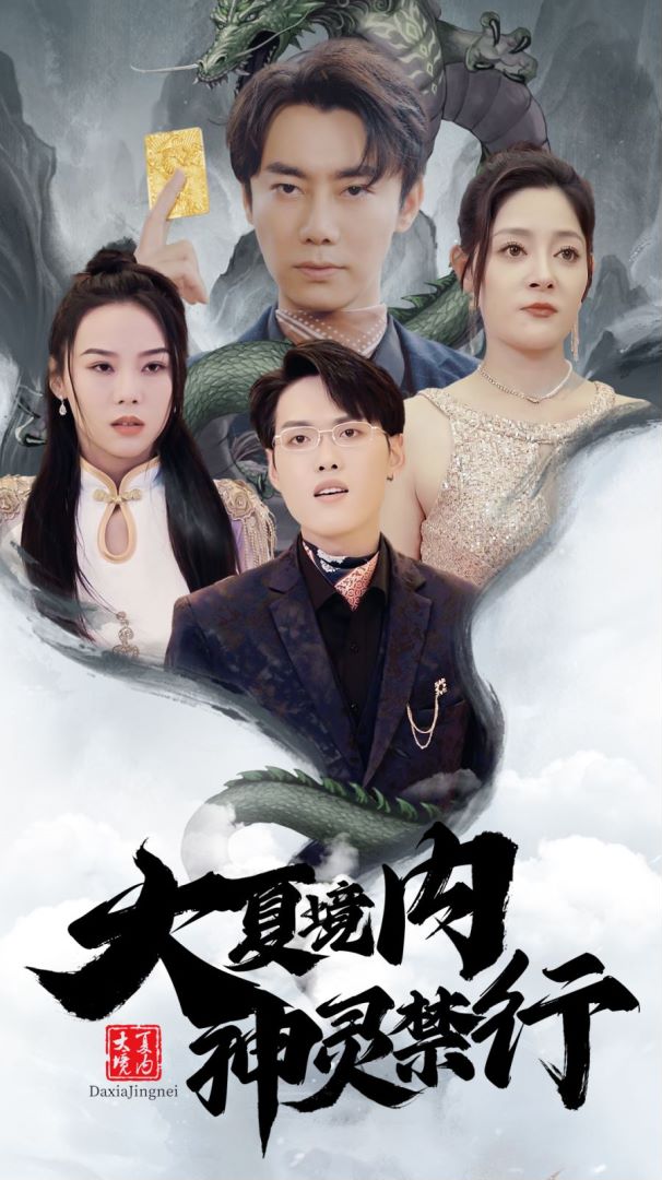 大夏境内，神灵禁行封面图