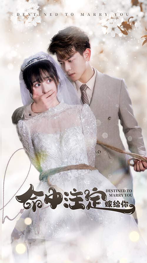 命中注定嫁给你封面图