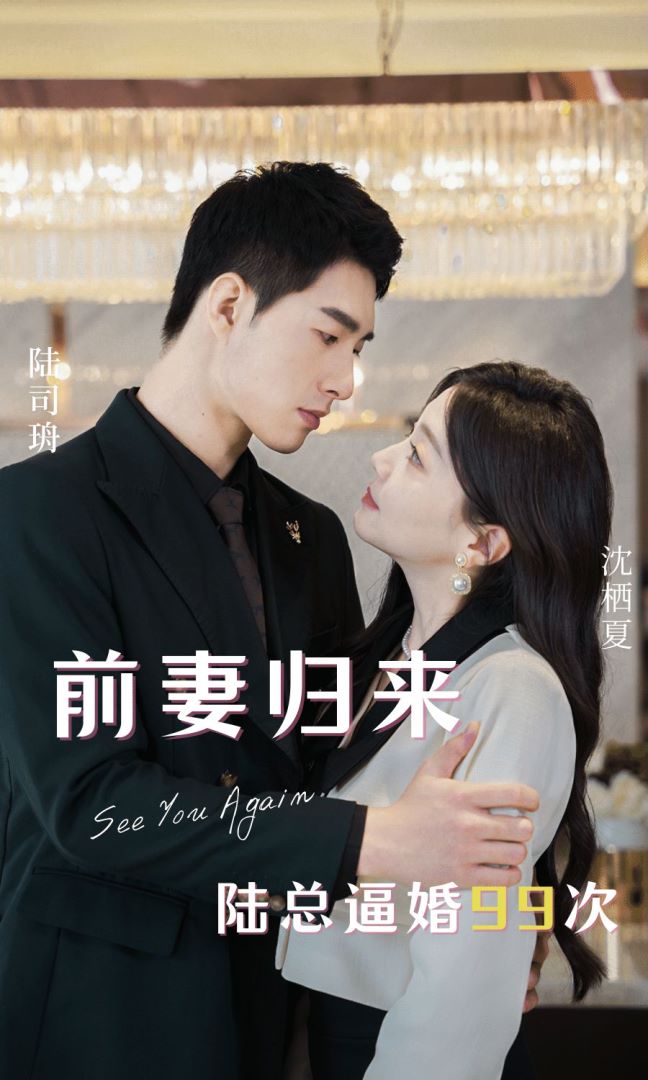 前妻归来陆总逼婚99次封面图