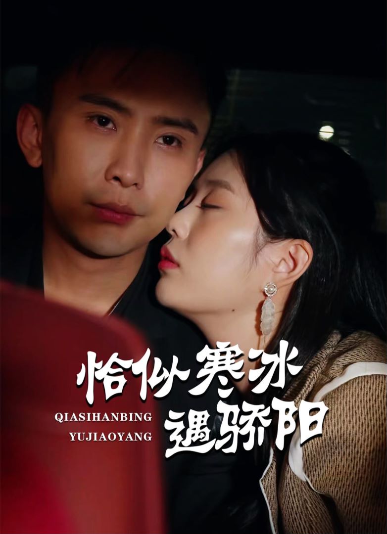 恰似寒冰遇骄阳封面图