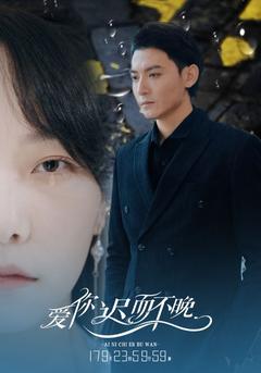 爱你迟而不晚封面图