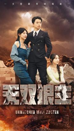 无双狼主封面图