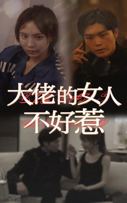 大佬的女人不好惹封面图