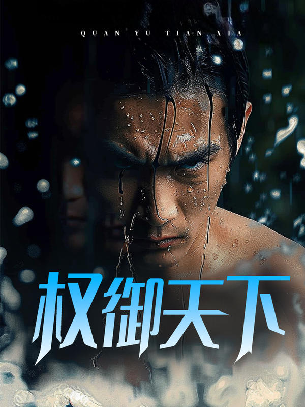 权御天下封面图