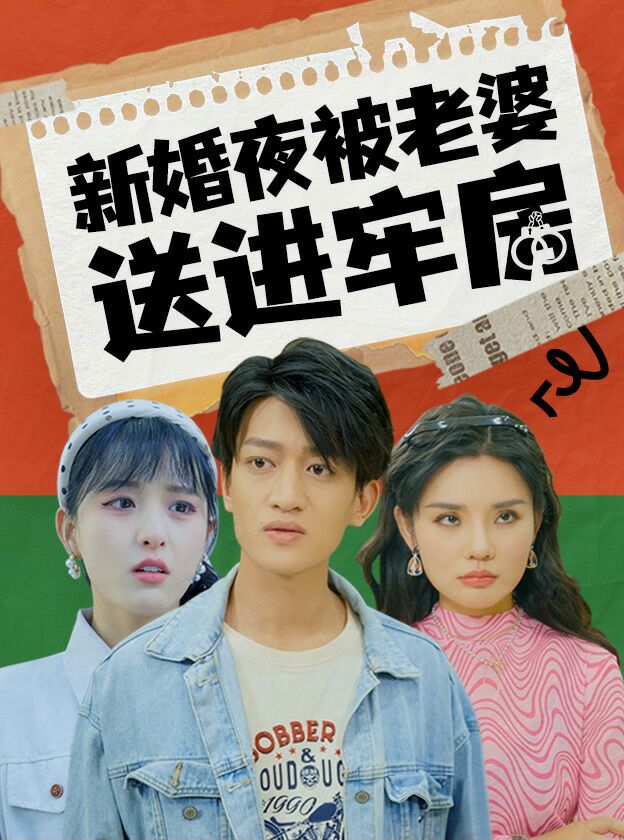 新婚夜被老婆送进牢房封面图