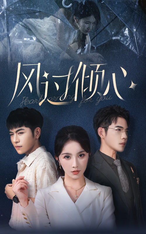 风过倾心封面图