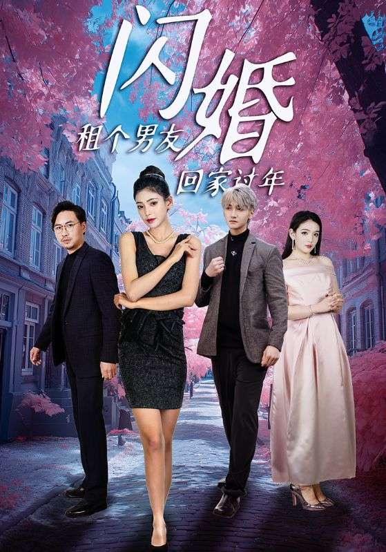 闪婚租个男友回家过年封面图