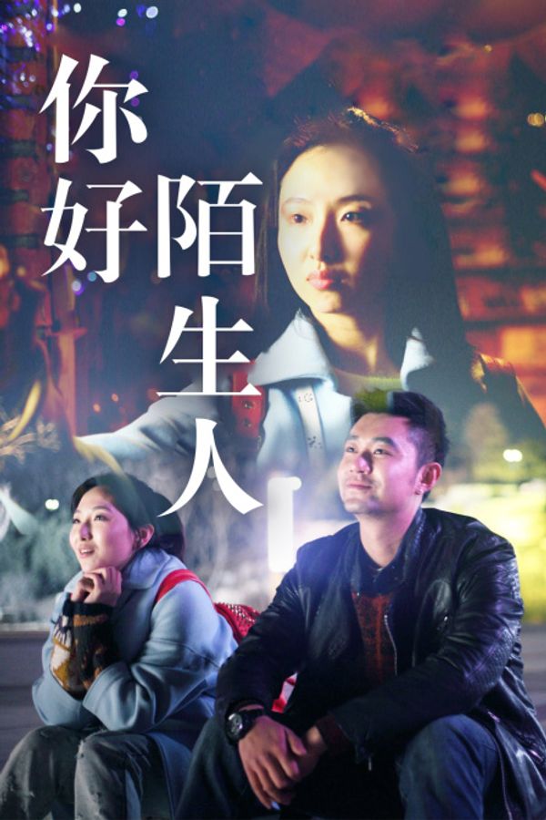 你好陌生人封面图