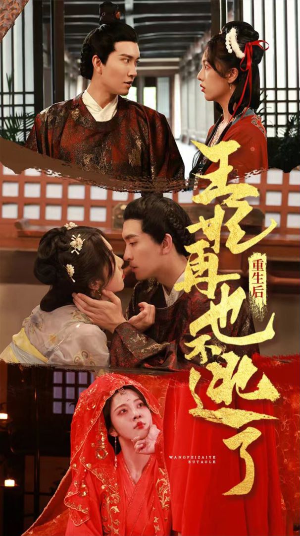 重生后王妃再也不逃了封面图