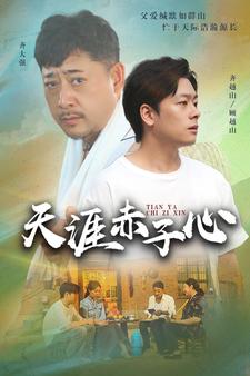 天涯赤子心封面图