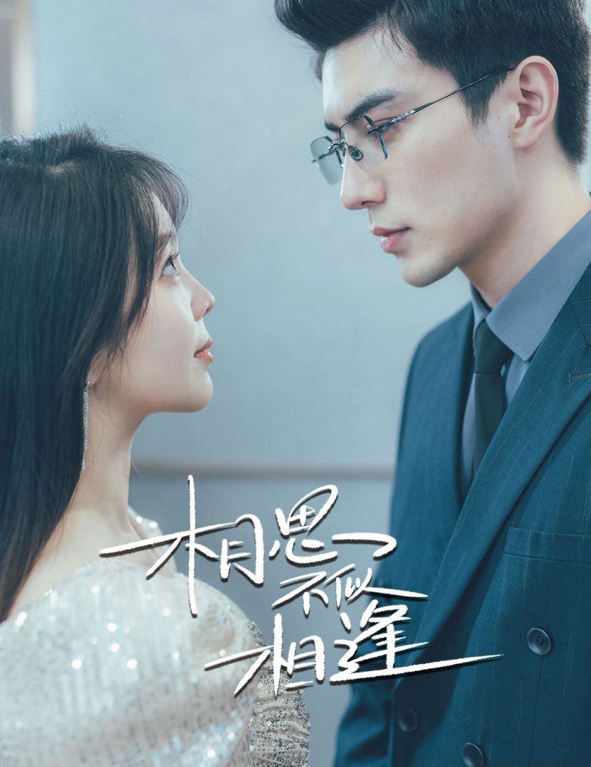 相思不似相逢封面图