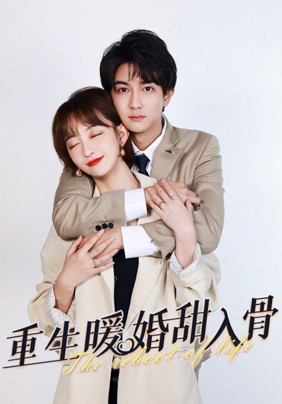 重生暖婚甜入骨封面图