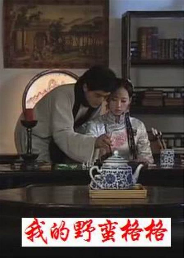 我的野蛮格格封面图